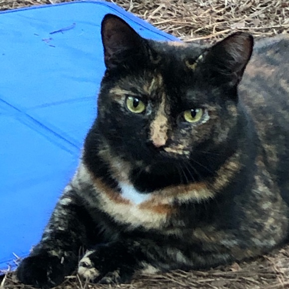 Meet your Posher, Gilda - Picture 9 of 10